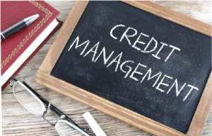 Professional credit management