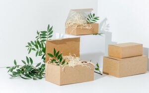 Right Biodegradable Box