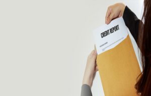 business credit report