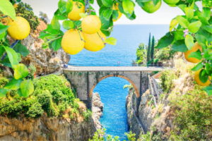 Day Yacht Charter